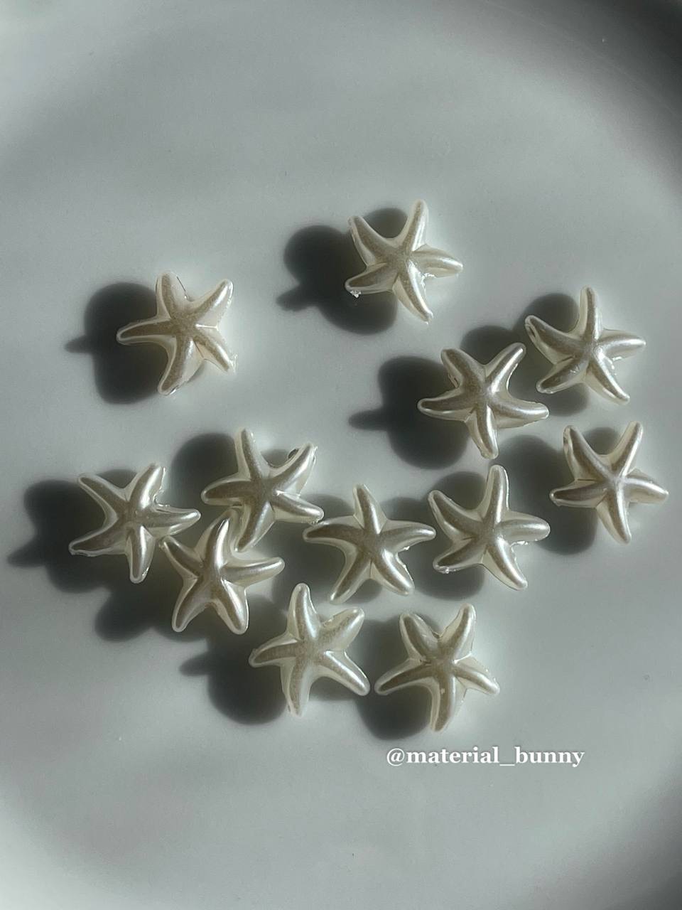 مهره ستاره صدفی